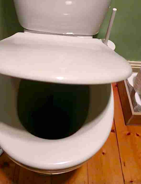 Toilet with possum in it
