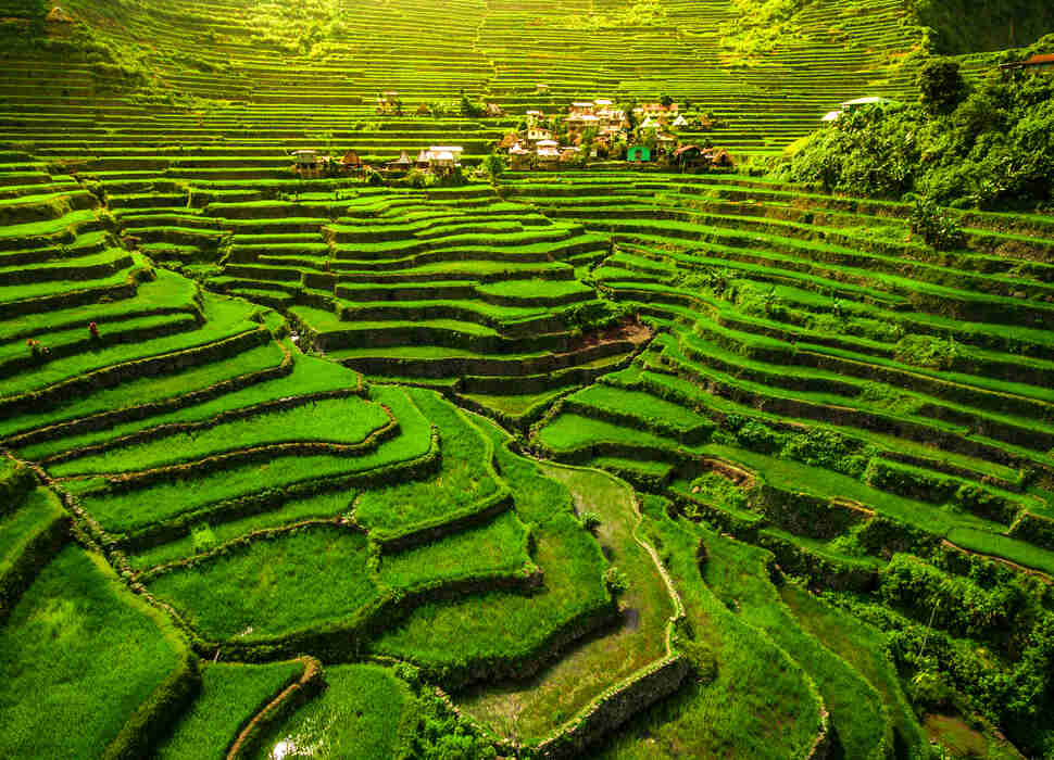 Batad Rice Terraces