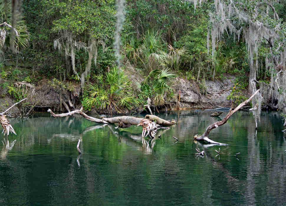 blue spring state park