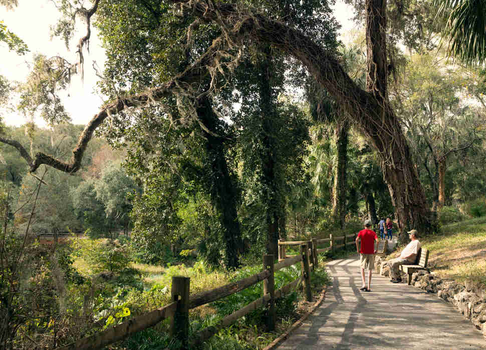 rainbow springs florida