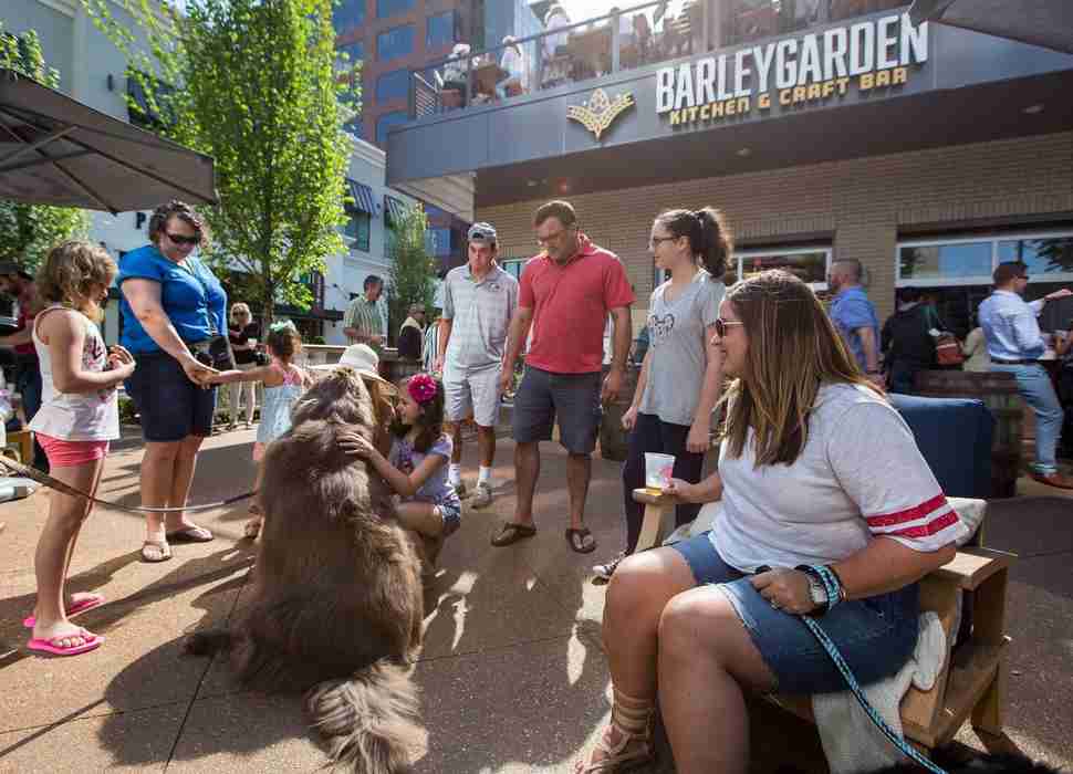 barleygarden