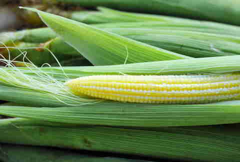 baby corn