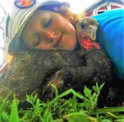 Turkey and rescuer cuddle at Woodstock Farm Sanctuary