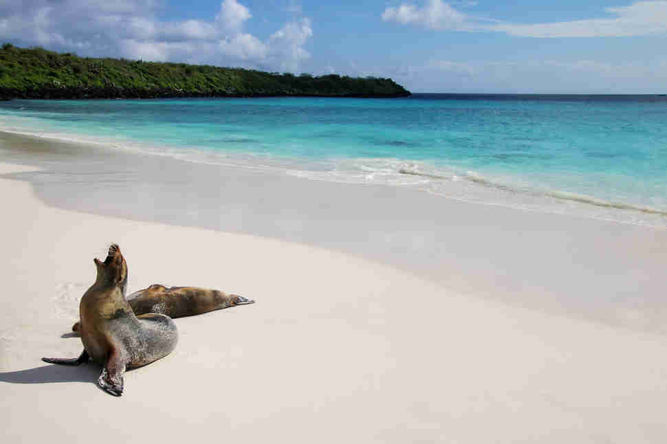 Best Beaches In The World Thrillist