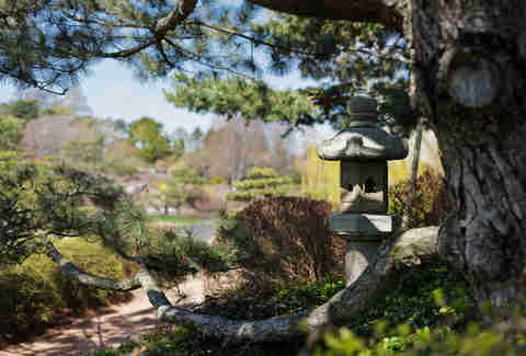 Chicago Botanic Gardens