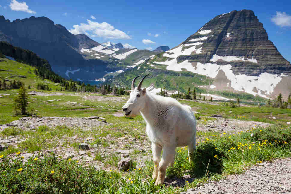 Glacier National Park