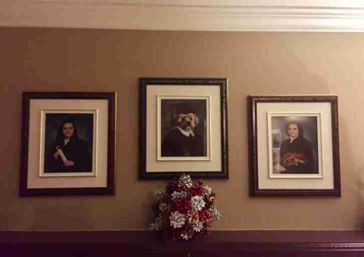 Yogi's graduation picture hangs over mantelpiece