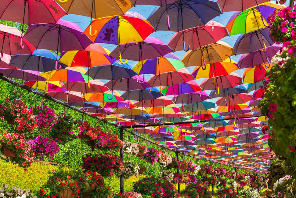 Dubai miracle garden