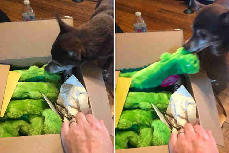 Jaxon gets his toys