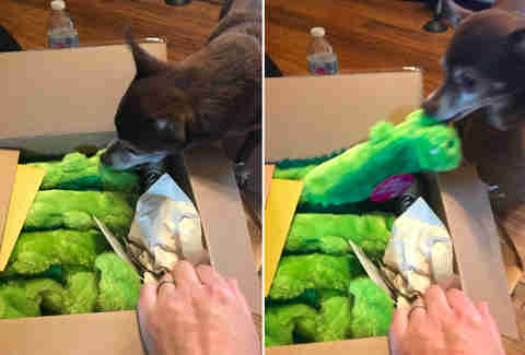 Jaxon gets his toys