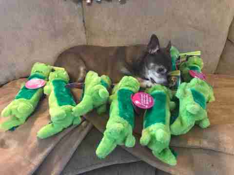 Jaxon and all his toys