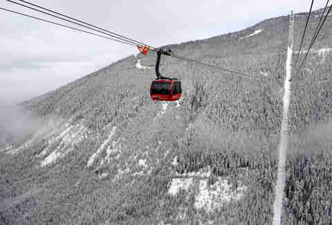 winter olympics