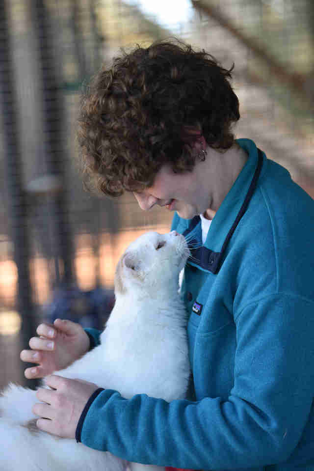 Woman looking down at cuddly cat