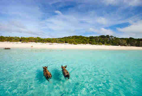 exuma