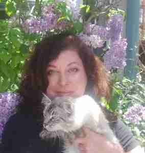 cat rescued from Big Sur