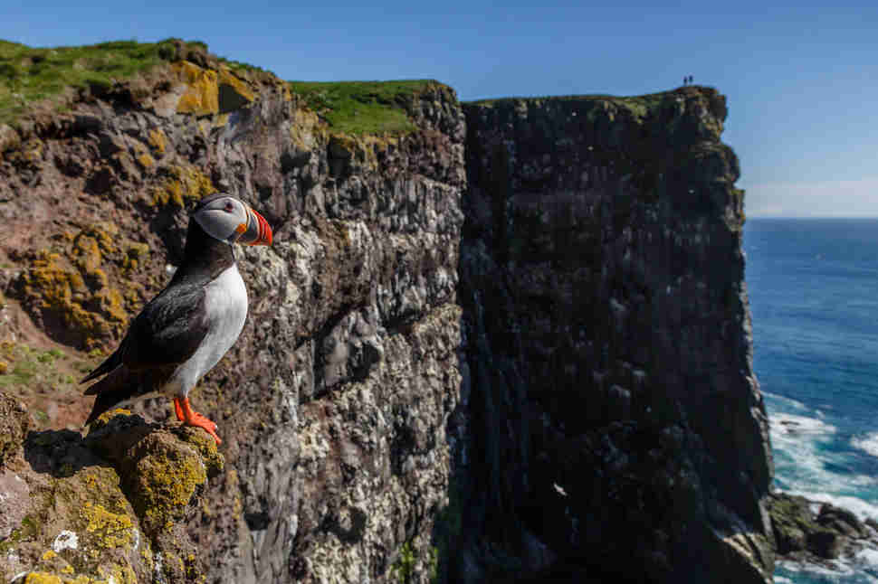 Latrabjarg
