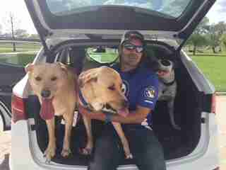 JoJo the rescue dog with her foster family