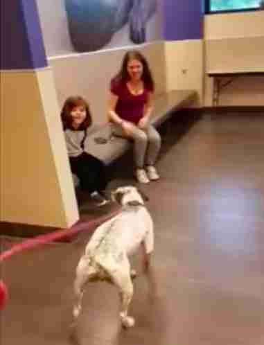 JoJo reunited with her family at Texas SPCA