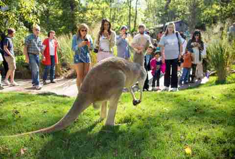 Nashville Zoo