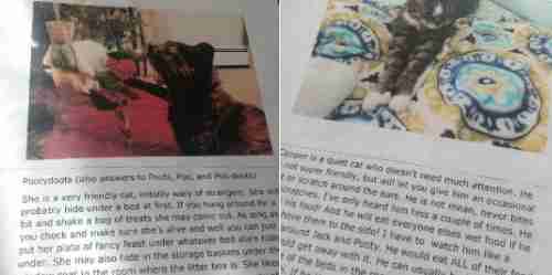 Pictures of cat biographies left for the pet sitter