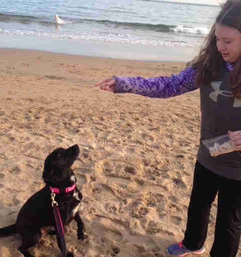 Mindy Wogan mama Grace PAWS foundation