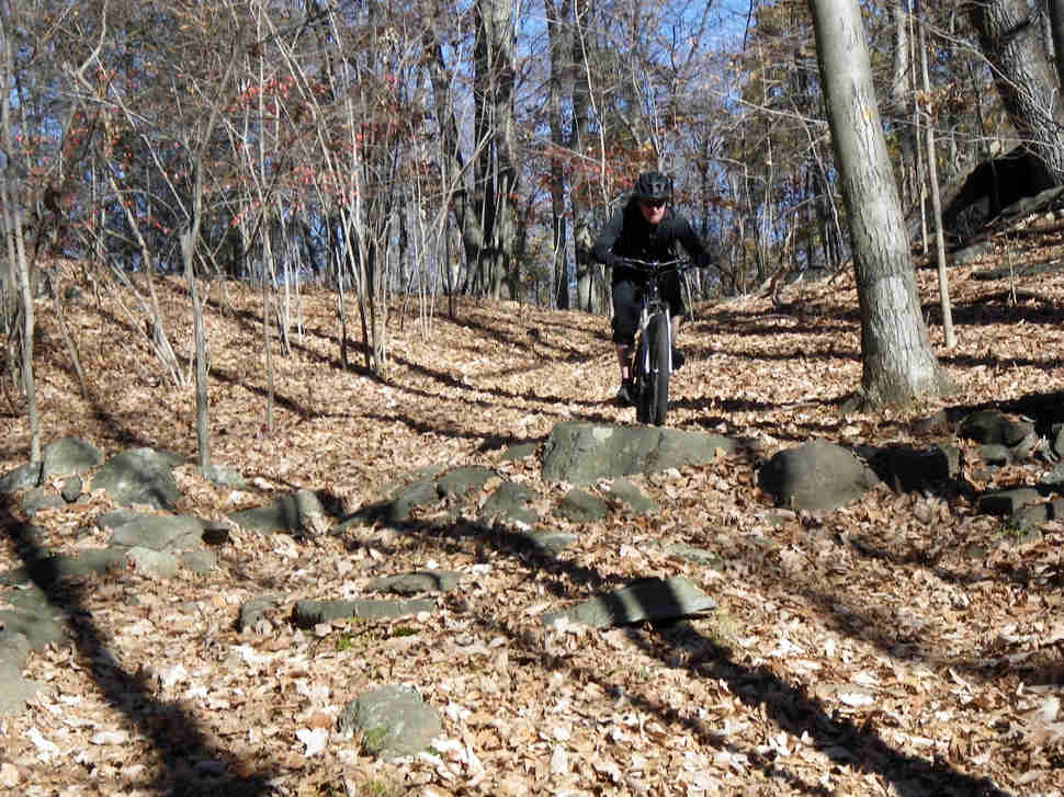 blue mountain reserve