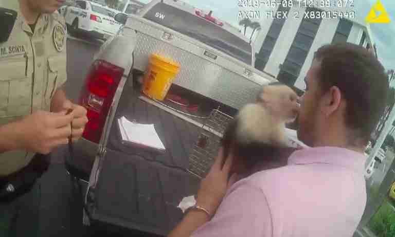 Pet Capuchin monkey gives his owner a hug