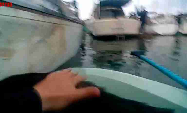 Dog being rescued from burning boat