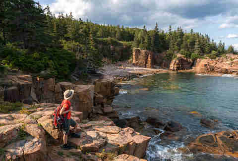 acadia
