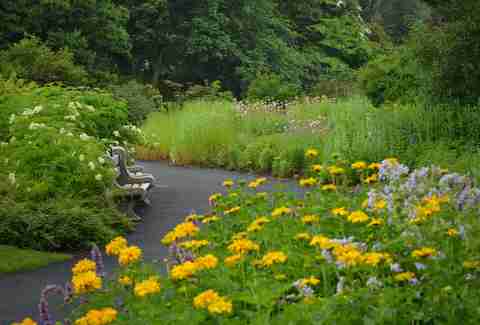 Brooklyn Botanic Garden