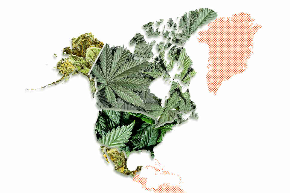 north america