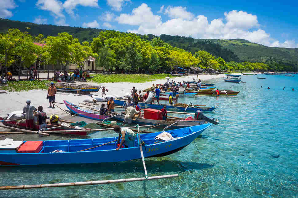 boats