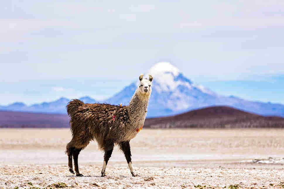 Atacama Desert in Chile