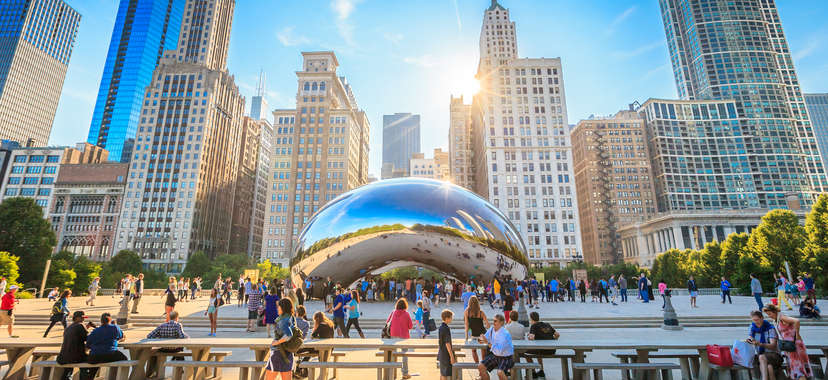 the bean