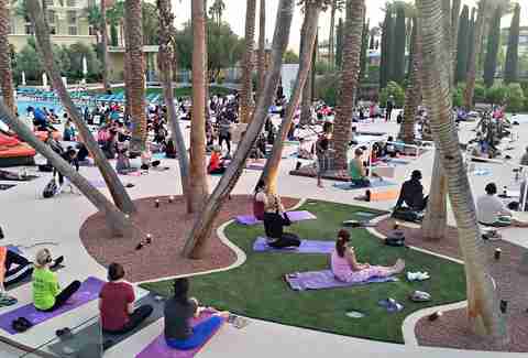 Free poolside yoga, Las Vegas