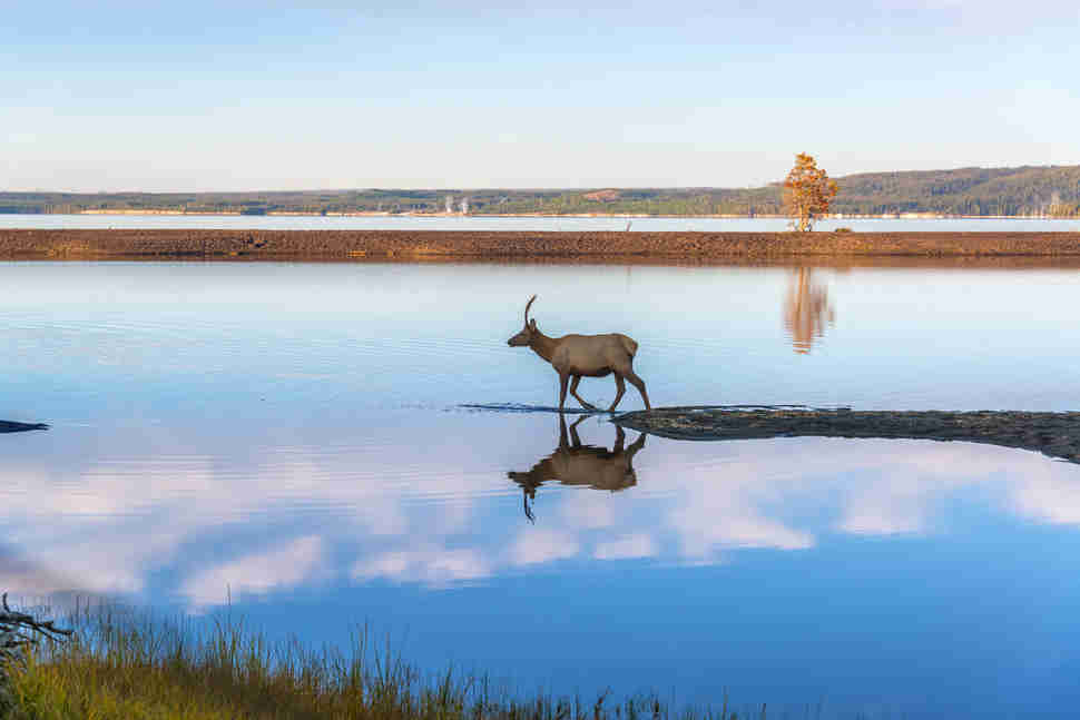 Yellowstone Lake in Yellowstone National Park