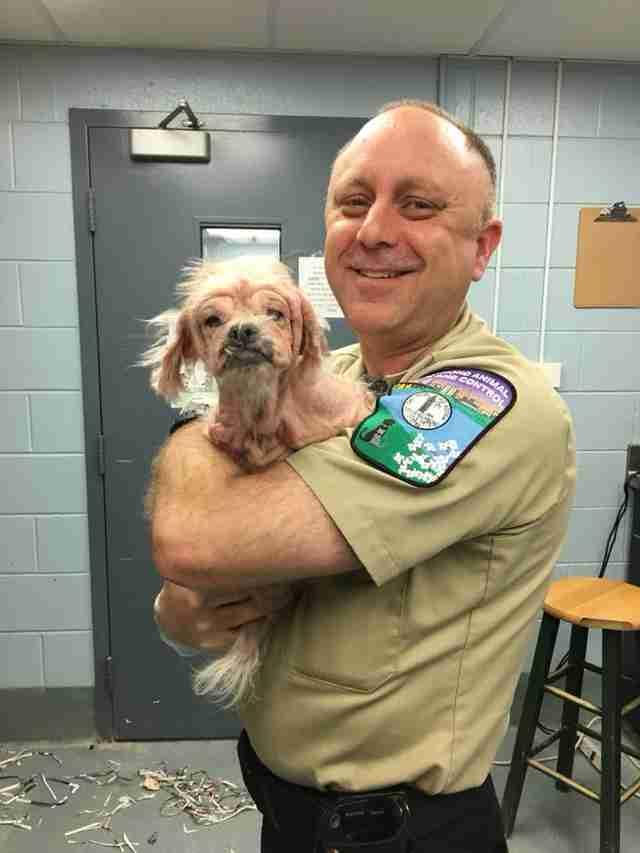 Animal control officer holding rescued Shih tzu