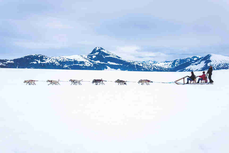Dogsledding outside Juneau