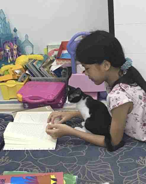 Kitten sitting with little girl while she reads