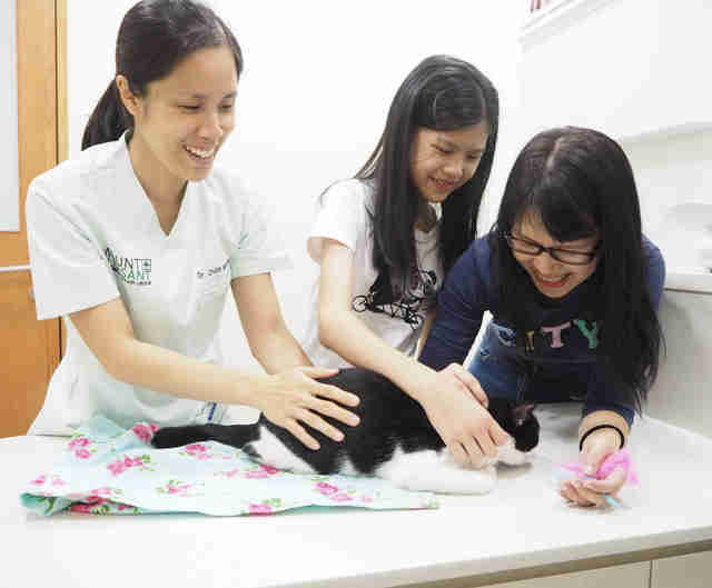 Vet and girls with cat at vet