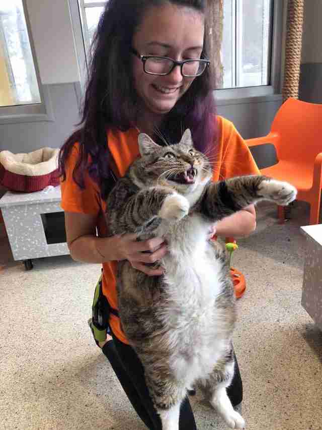 28 pound shelter cat