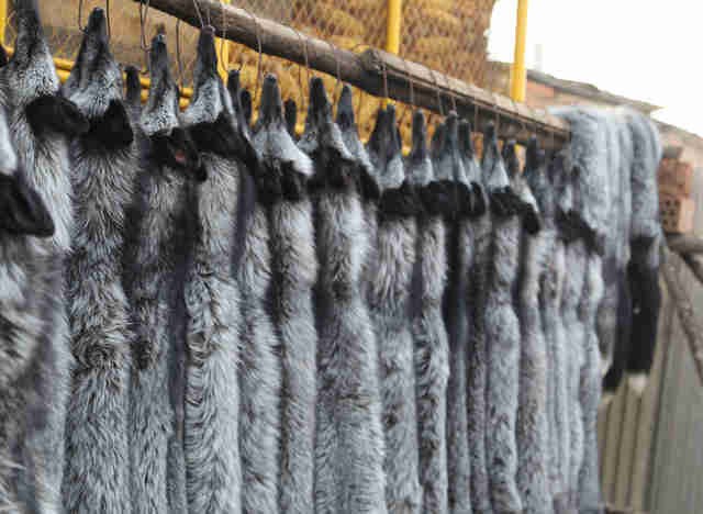 fur trade