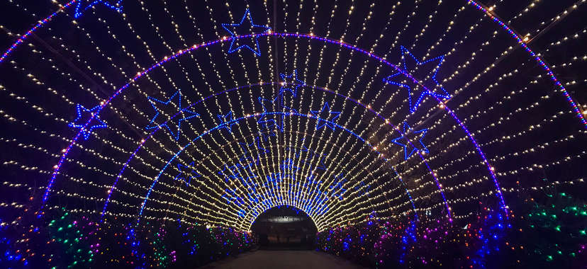 Austin Trail of Lights