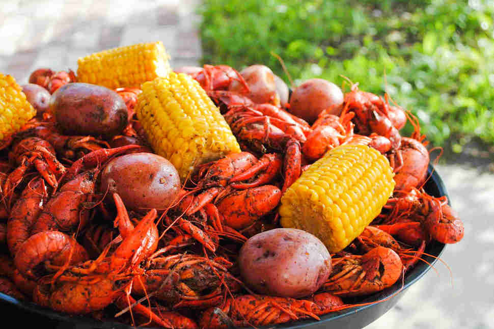 blue cajun