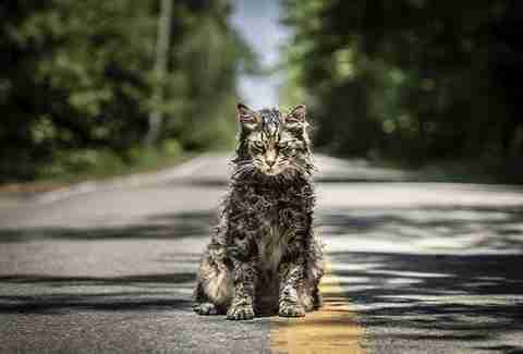 pet sematary