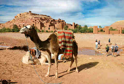 Sahara Desert in Morocco