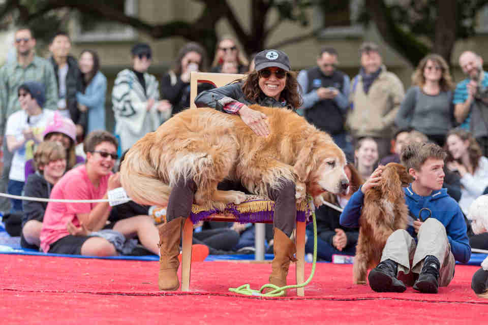 DogFest