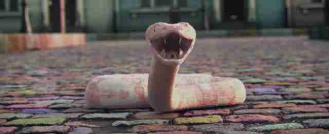snake