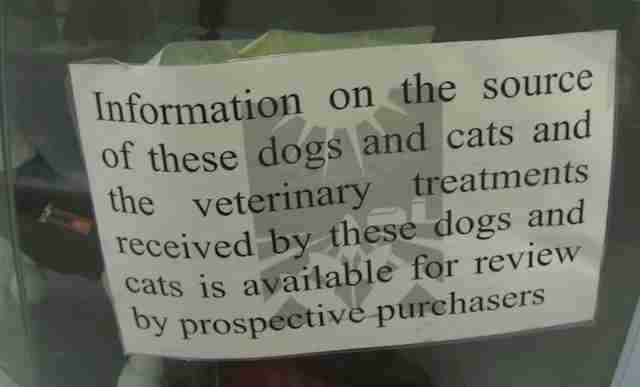 Sign in pet store window about information disclosure