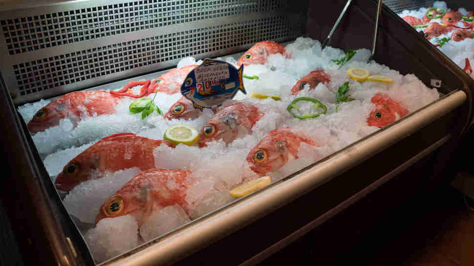 rockfish for sale on display